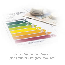 So sieht der neue Energieausweis aus ...